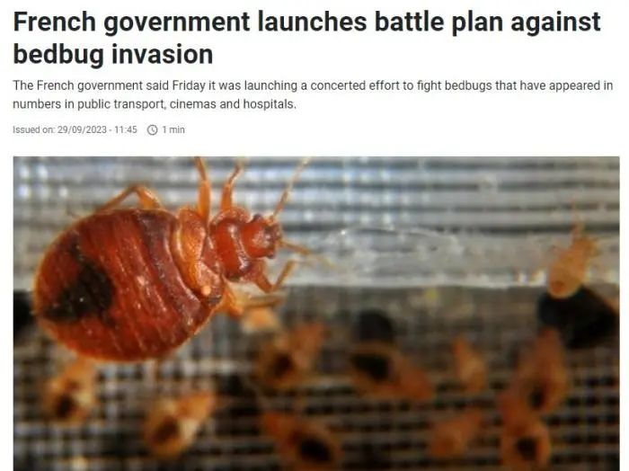 图片来源：法国24小时电视台网站报道截图