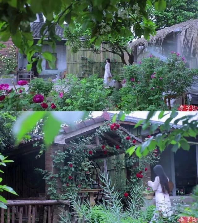 幻境竟可成真,满心欢喜,后来,见着李子柒的院子,似乎只有陶渊明的诗词