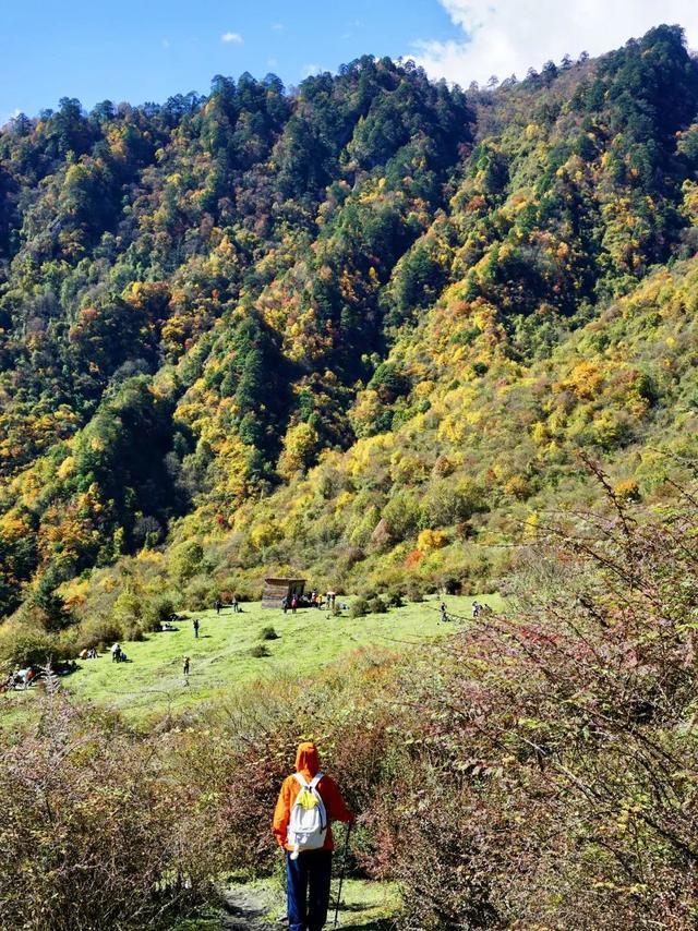 成巴高速沿途景点图片