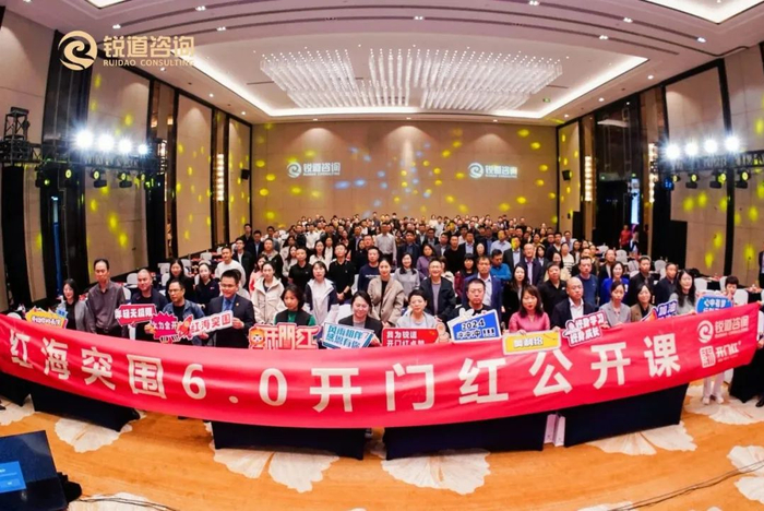锐道咨询"红海突围6.