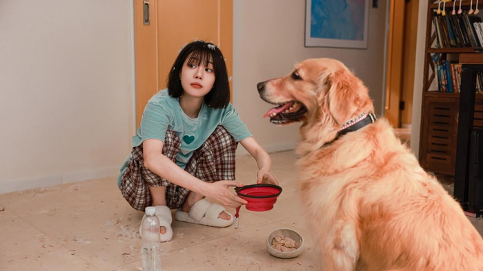 《最遥远的距离》收官 李溪芮有效播剧又美又飒|最遥远的距离|李溪芮