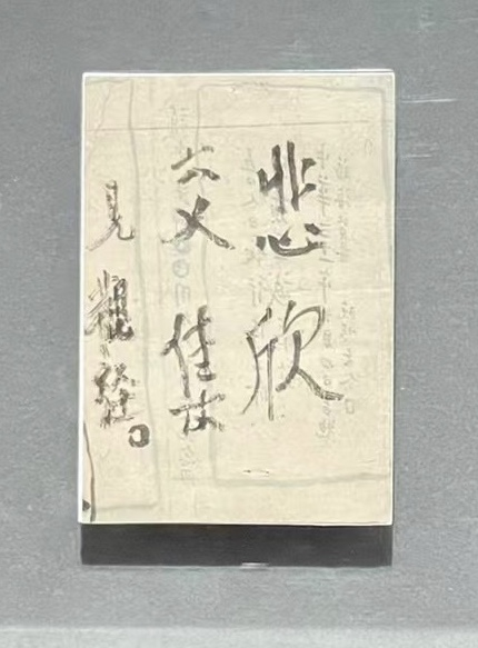 《悲欣交集》  23×23cm ，上海圆明讲堂藏