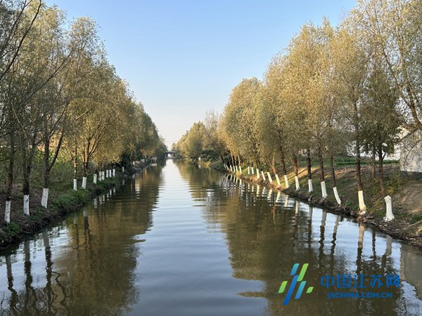 东台市许河镇河道管护不停歇厚植生态绿底色
