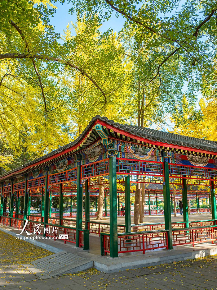 北京:中山公园美景迎客来