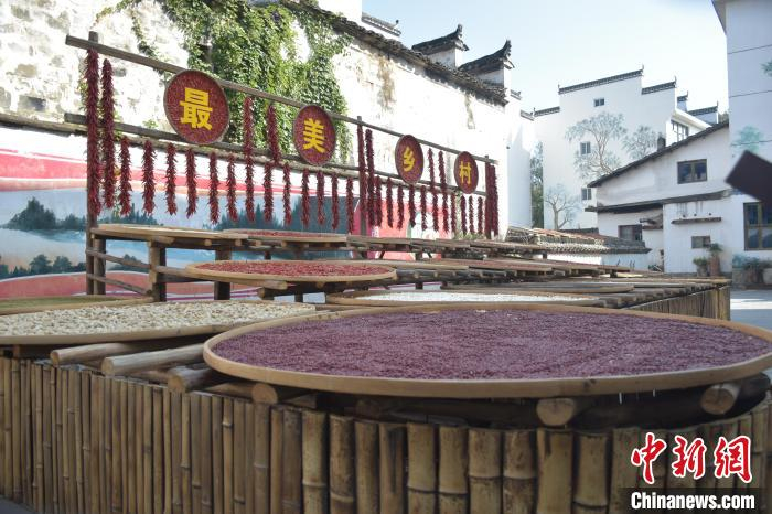 江西婺源石门村晒秋正当时村民游客乐开怀