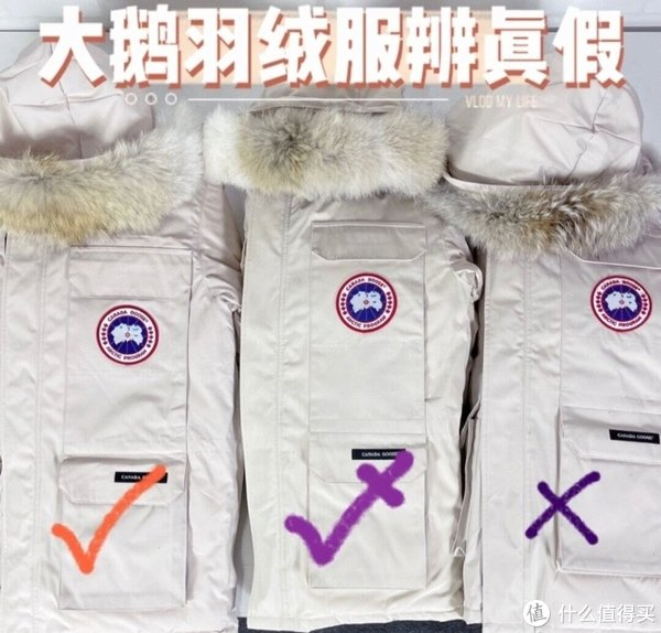 大鹅羽绒服辨真假|羽绒服|肩带_新浪新闻