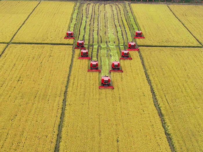 深耕"数字农田" 压稳粮食安全"压舱石"|北大荒|粮食安全|智慧农业