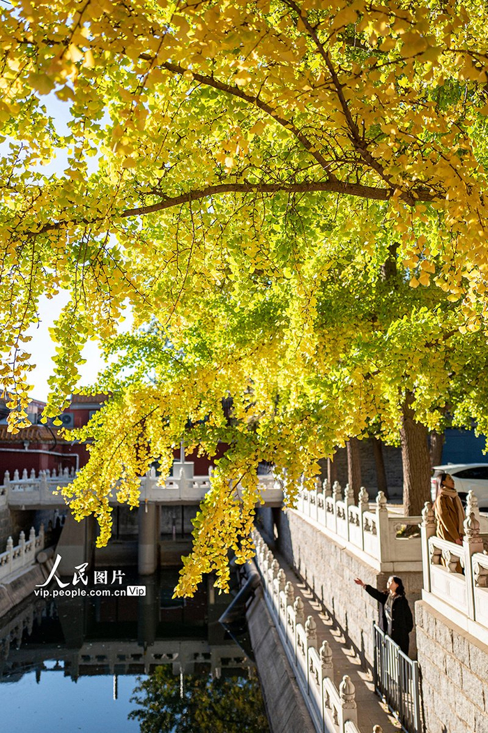 北京:中山公园美景迎客来