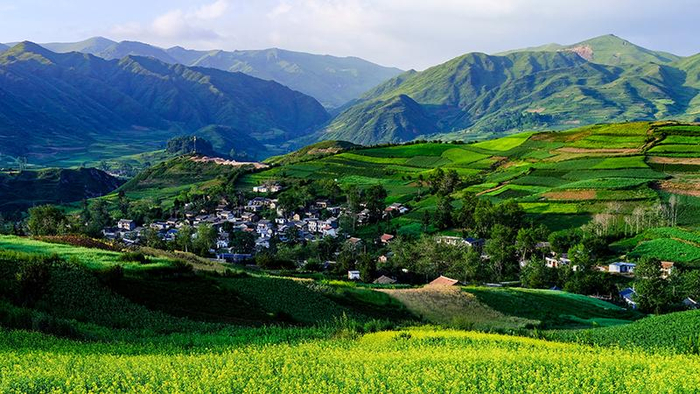 【甘快看】走进陇南,听书记讲"两山"故事——甘肃陇南生态产业发展纪