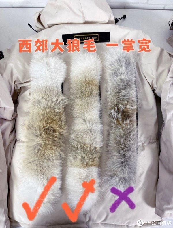 大鹅羽绒服辨真假|羽绒服|肩带_新浪新闻