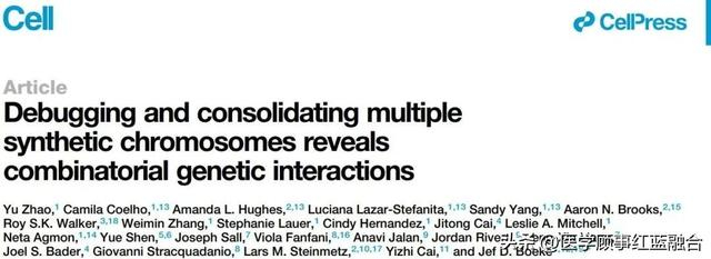 黑洞里面会有可能存在生命形式吗?比如黑洞生命?...