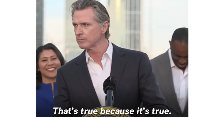 “这是真的，因为这是事实”，视频截图