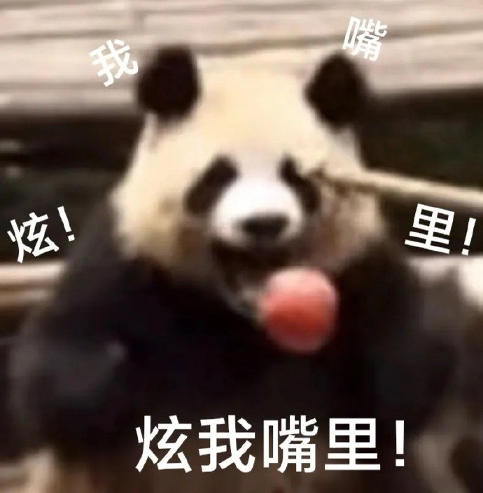 表情包 诚恳 炫我嘴里 精神状态良好 我们在一起最快乐……|表情包