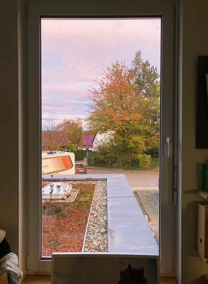 去年秋天，窗外一角|截图