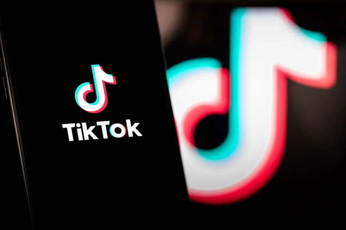 TikTok标志（资料图）