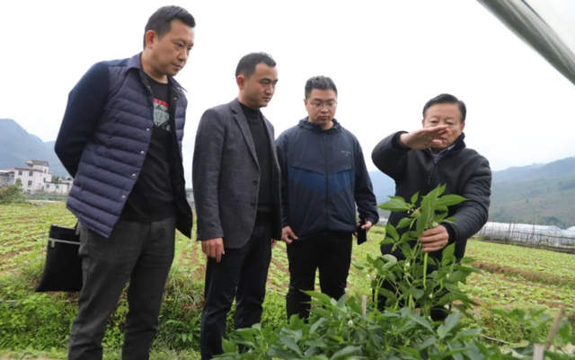 在酉阳期间,科技特派团专家先后到酉阳县龙潭镇渤海村,泔溪镇太平村