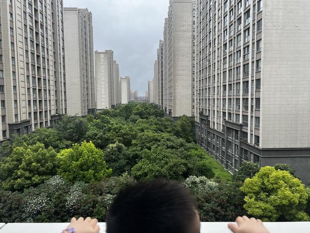 与城投宽庭光华社区相邻的一片绿地。 王昀 图