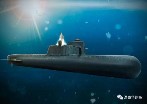 简析朝鲜新型战术核攻击潜艇|朝鲜|潜艇|鱼雷_新浪新闻