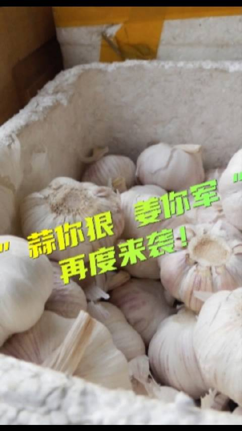 蒜你狠姜你军再度来袭