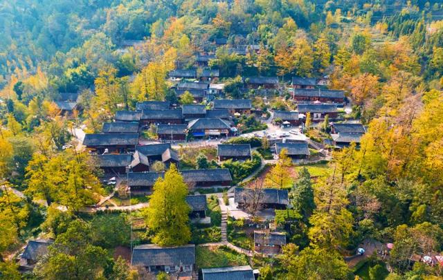 一村一景贵州盘州妥乐银杏鎏金好村景