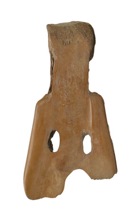 河姆渡遗址发现50周年:从稻谷,陶猪看远古江南|江南_新浪新闻