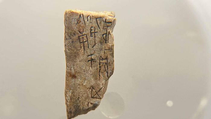 第四片甲骨大结局 新浪网