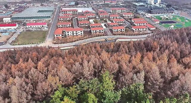 农文旅融合的氿遇田园综合体正成为马鞍山村的新IP。（资料图片）