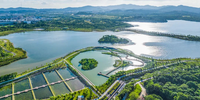 管金才 《定岗湖湿地公园》三等奖万丰湖整治前万丰湖湿地公园昌建