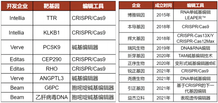 国外（左）、国内（右）的基因编辑管线