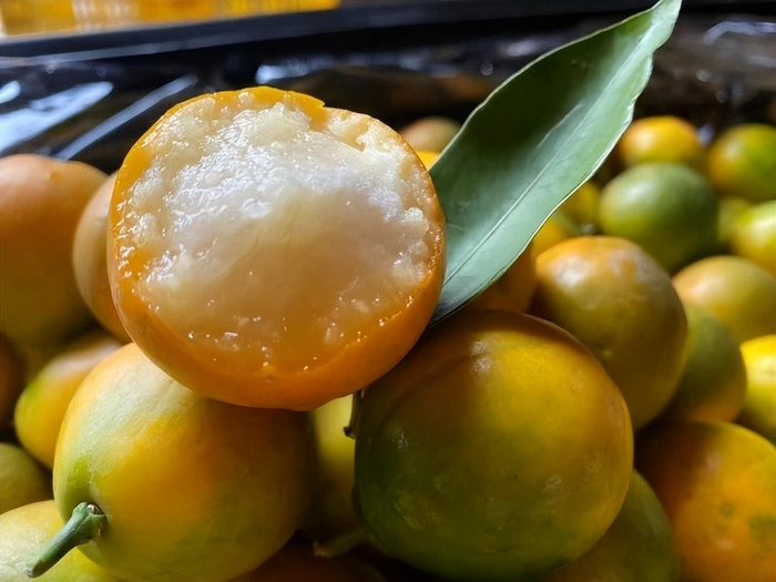 常吃金桔6个好处或不请自来|金桔|功效|口感_新浪新闻