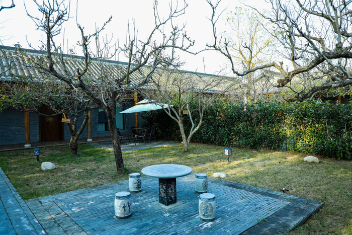 宿来拍 | 庭院初冬