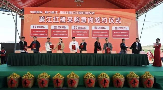 36亿元|廉江市|湛江市|农产品_新浪新闻