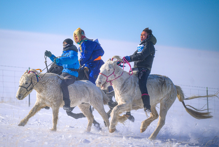 赛马——锡林郭勒蒙古马超级联赛开赛|蒙古马|赛马_新浪新闻