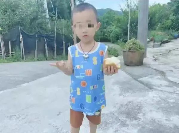 失踪男童