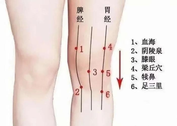 每日一貼排寒祛溼疏通經絡