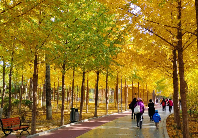 （图片来源：兴隆公园微信公众号）