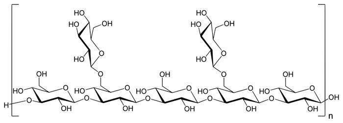 吃下美味的香菇飯後,他帶著滿身鞭痕進了醫院|皮炎_新浪新聞