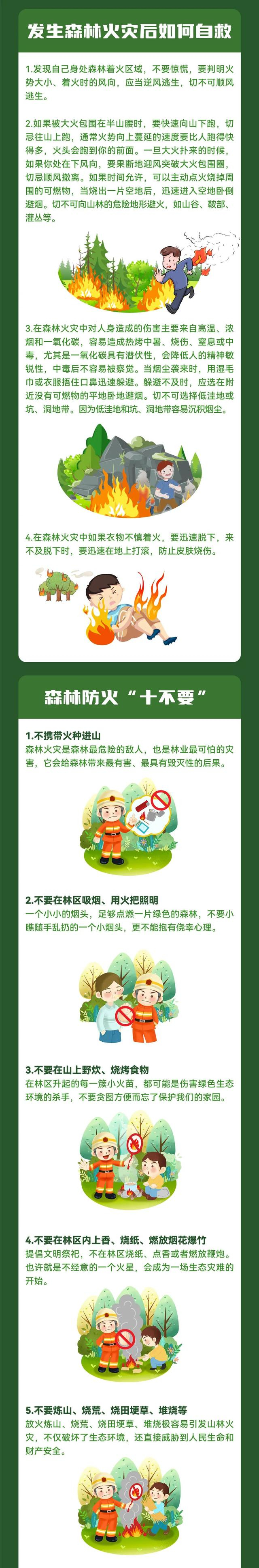 森林防火 人人有责 | 守护绿色家园,做好森林防火,这些安全知识要掌握