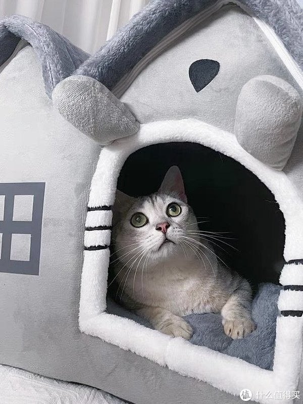 猫窝是一种为猫提供居住和休息的特殊空间__财经头条__新浪财经