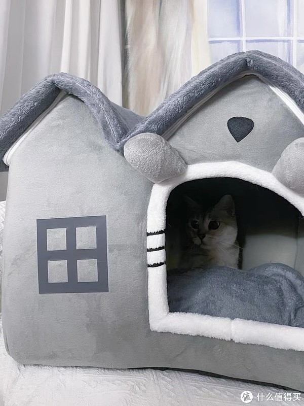 猫窝是一种为猫提供居住和休息的特殊空间__财经头条
