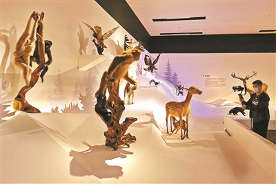 国博举办首个自然生态类展览|中国国家博物馆_新浪新闻