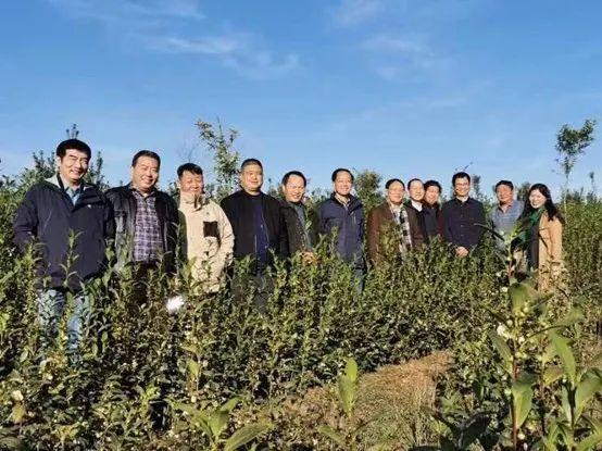 詩話豐收採風活動在溧水晶橋芝山村成功舉行