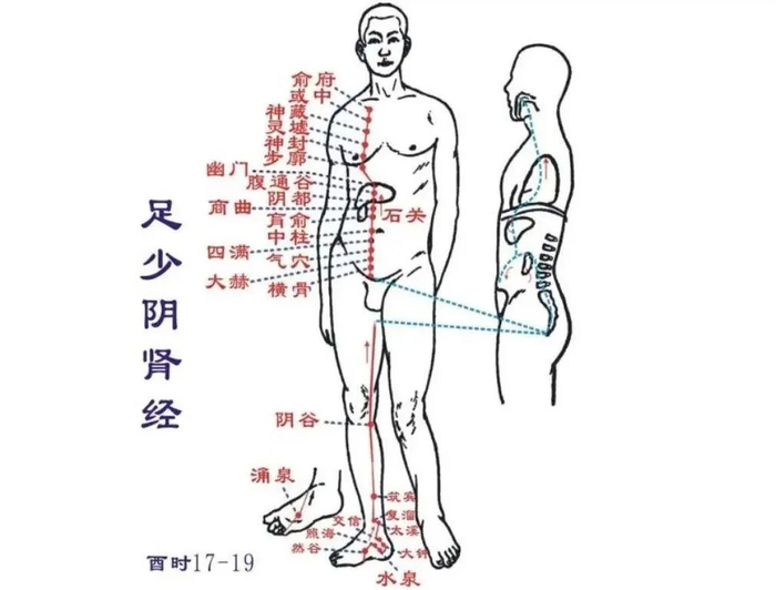 8,戌时(对应时间:19～21点)此时手厥阴心包经当令.