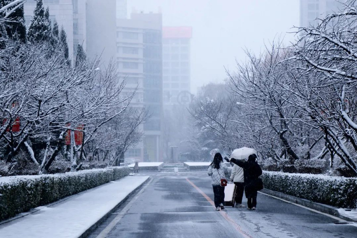 假如,崇左下雪了……|崇左市|肖雨|白雪_新浪新闻