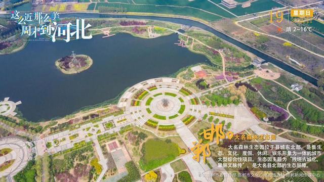 大名县城区最新规划图图片