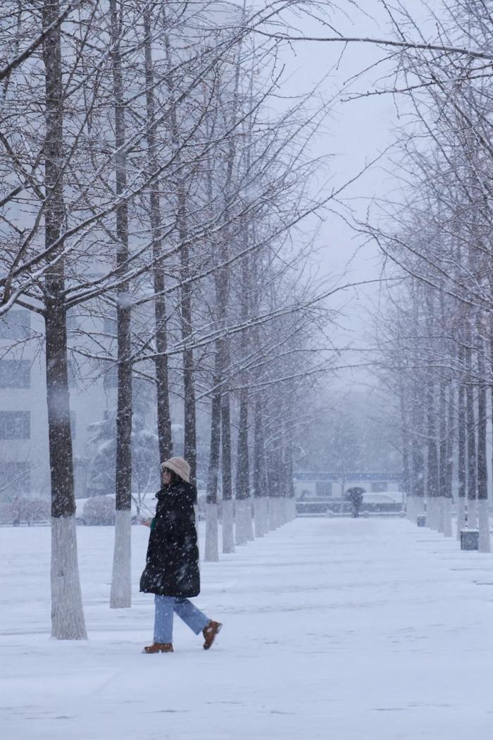 假如,崇左下雪了……