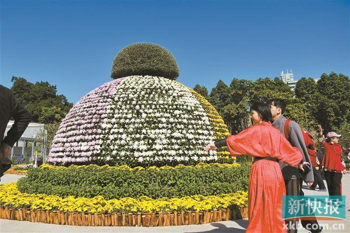 第64届羊城菊会开幕, 展出面积和数量创新高|广州市_新浪新闻