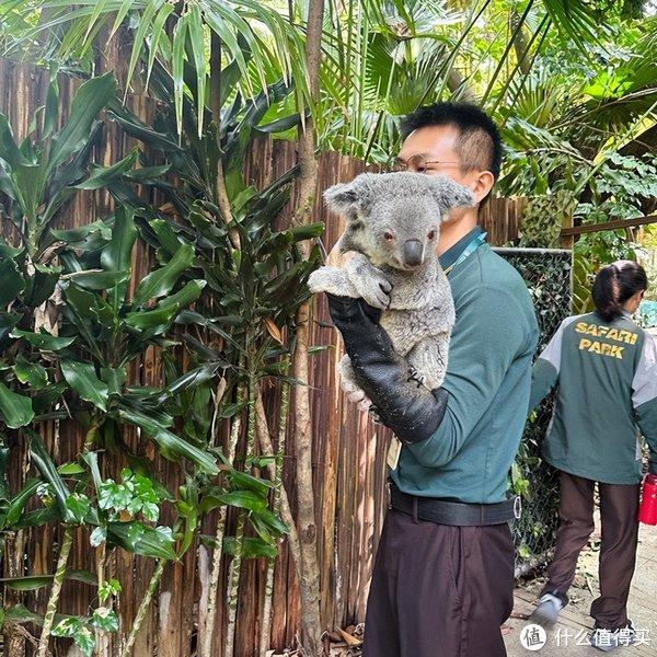 一個人長隆野生動物園快樂一日遊攻略