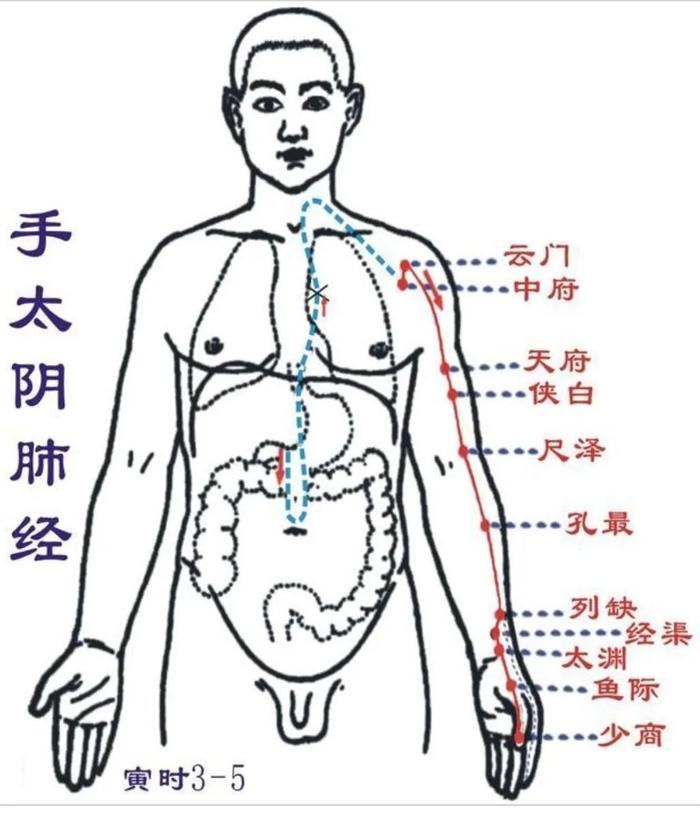 中醫十二時辰按摩法,照著做,把全身都養護了__財經頭條