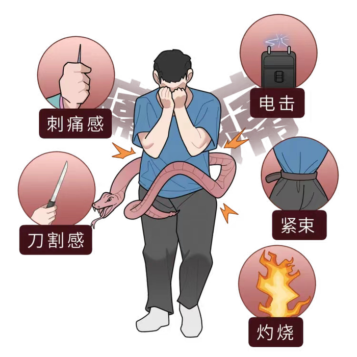 可潜伏病毒,并可在日后免疫力下降时复发,引起带状疱疹,俗称"蛇缠腰"